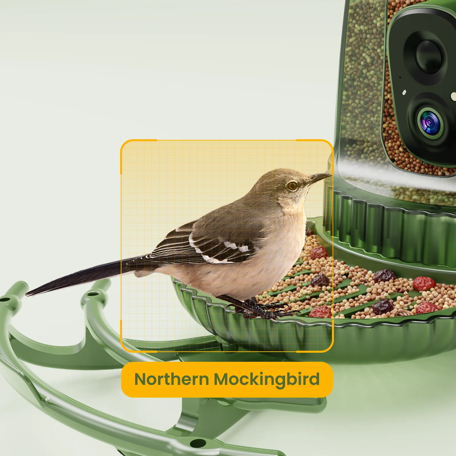 A bird at a green COOLFLY feeder with a Northern Mockingbird identification overlay